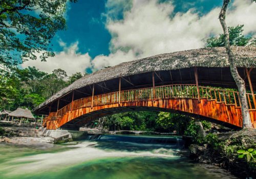 optimized_Naciente_del_Tio_Yacu_-_Agencias_de_turismo_en_Tarapoto